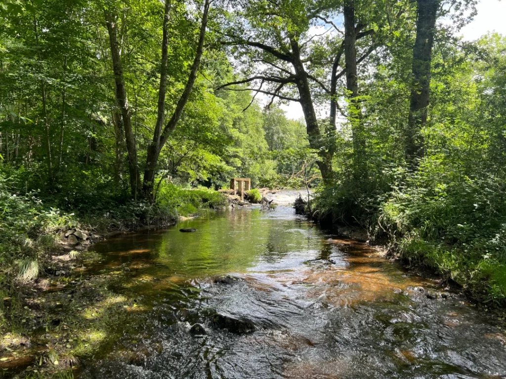 La sioule Peche au toc